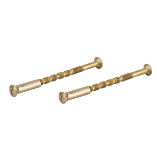 JEU DE 2 VIS SECABLES AVEC DOUILLES M4x50 LAITONNEES