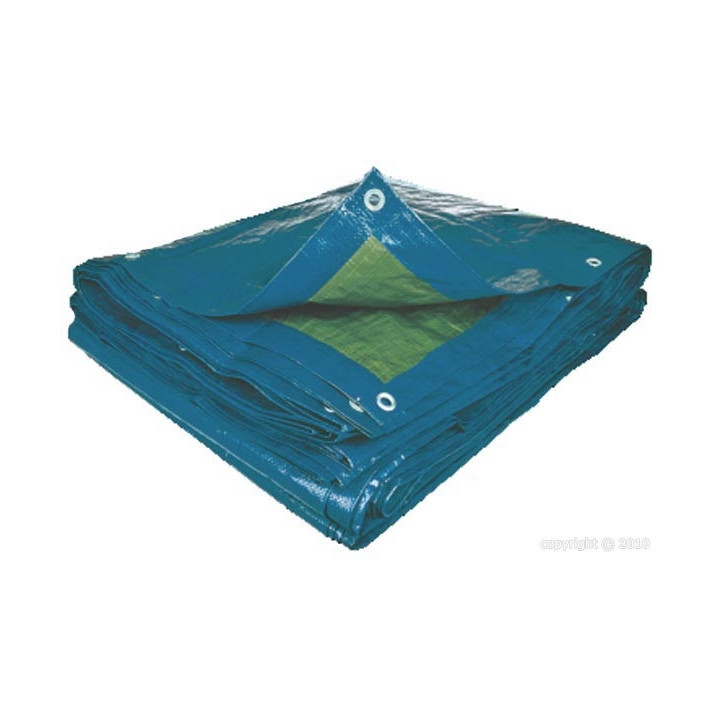 Lona de protección de plástico PVC y polietileno de 5 x 3 m