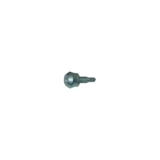 Vis pareclose autoforeuse d.4 zing -  menuiseries metalliques
